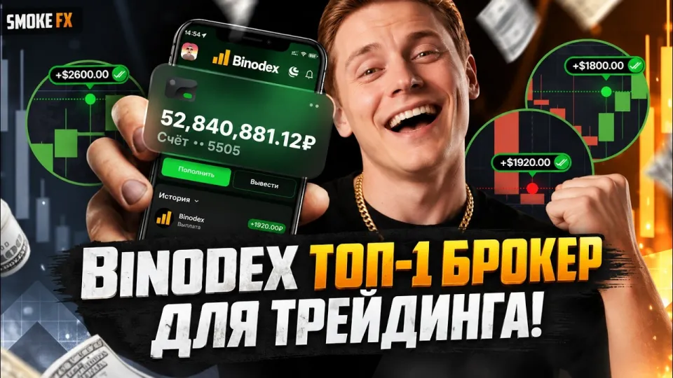 Трейдинг обучение: полный курс для новичков на BINODEX